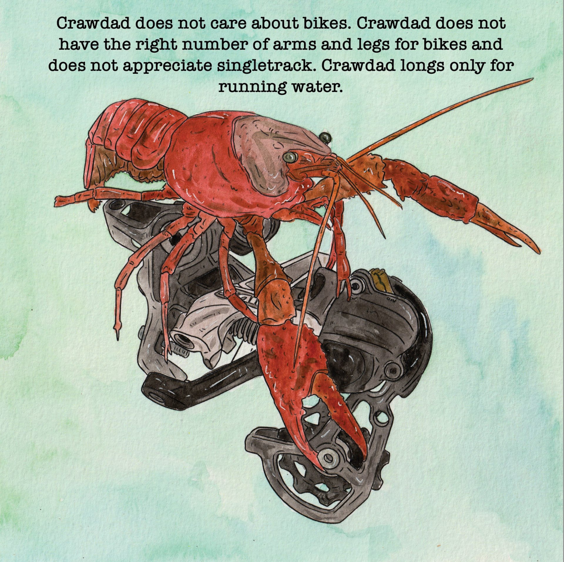 a crawdad on a derailleur