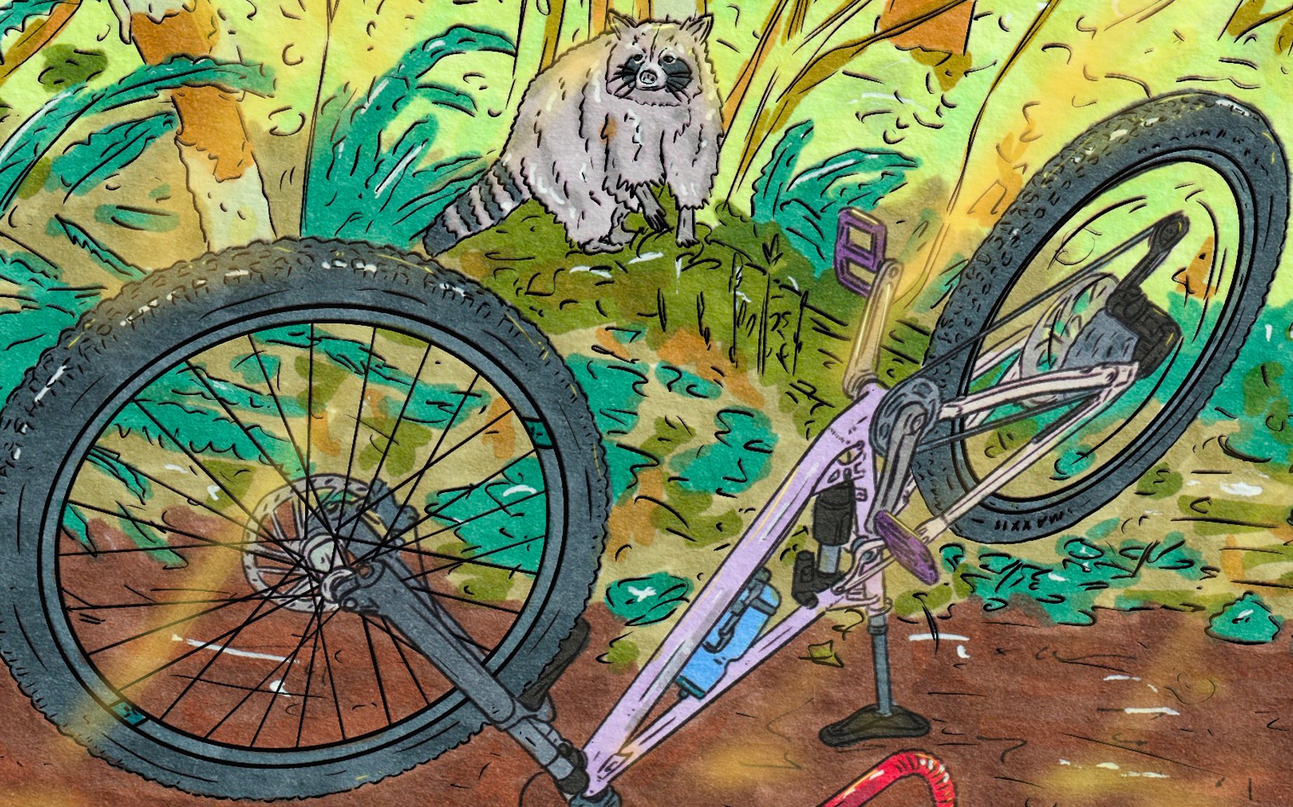 A raccoon watching someone fix their bike.