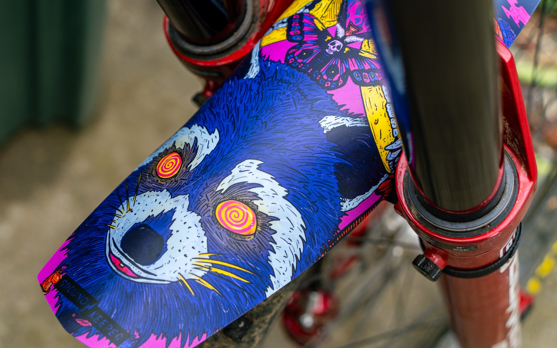 A raccoon fender