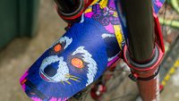A raccoon fender