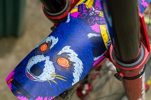 A raccoon fender