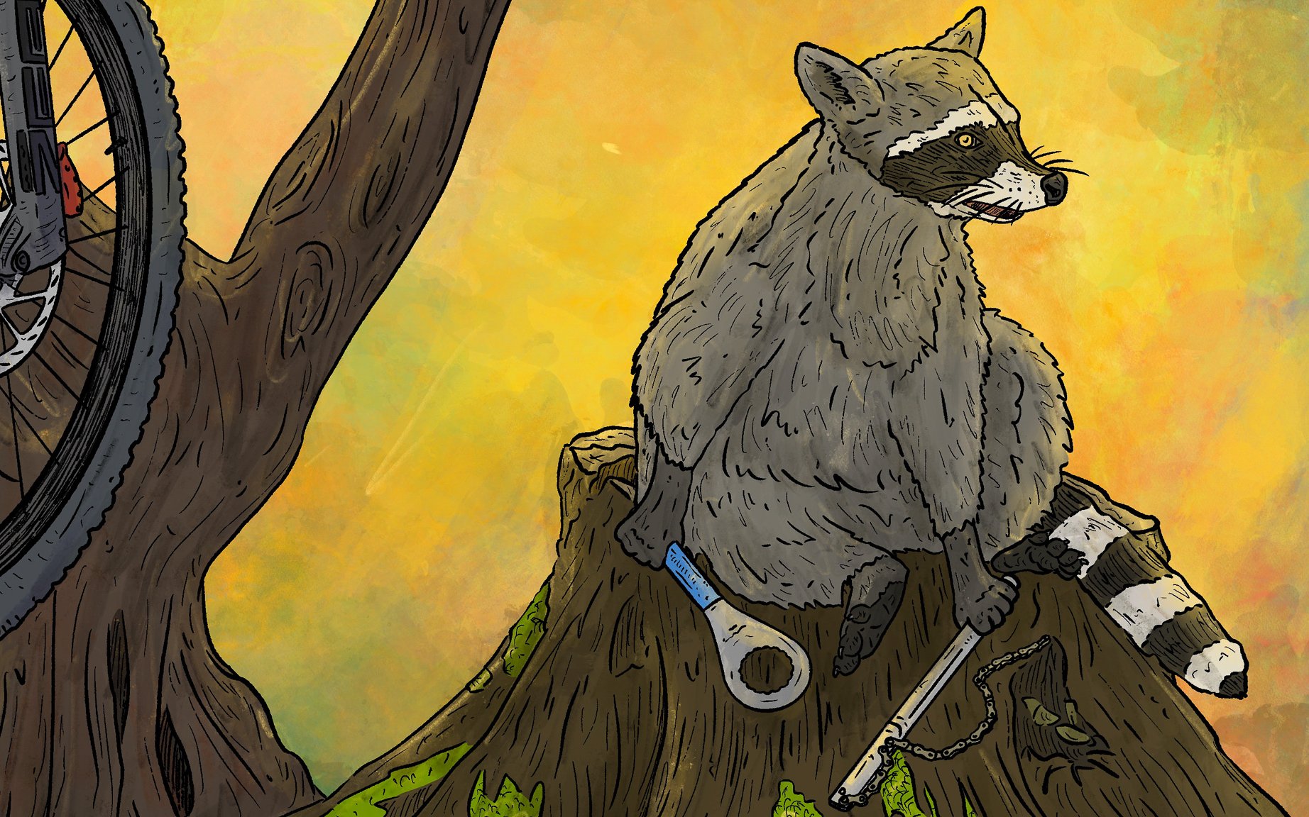 A raccoon who is tired of working on bikes