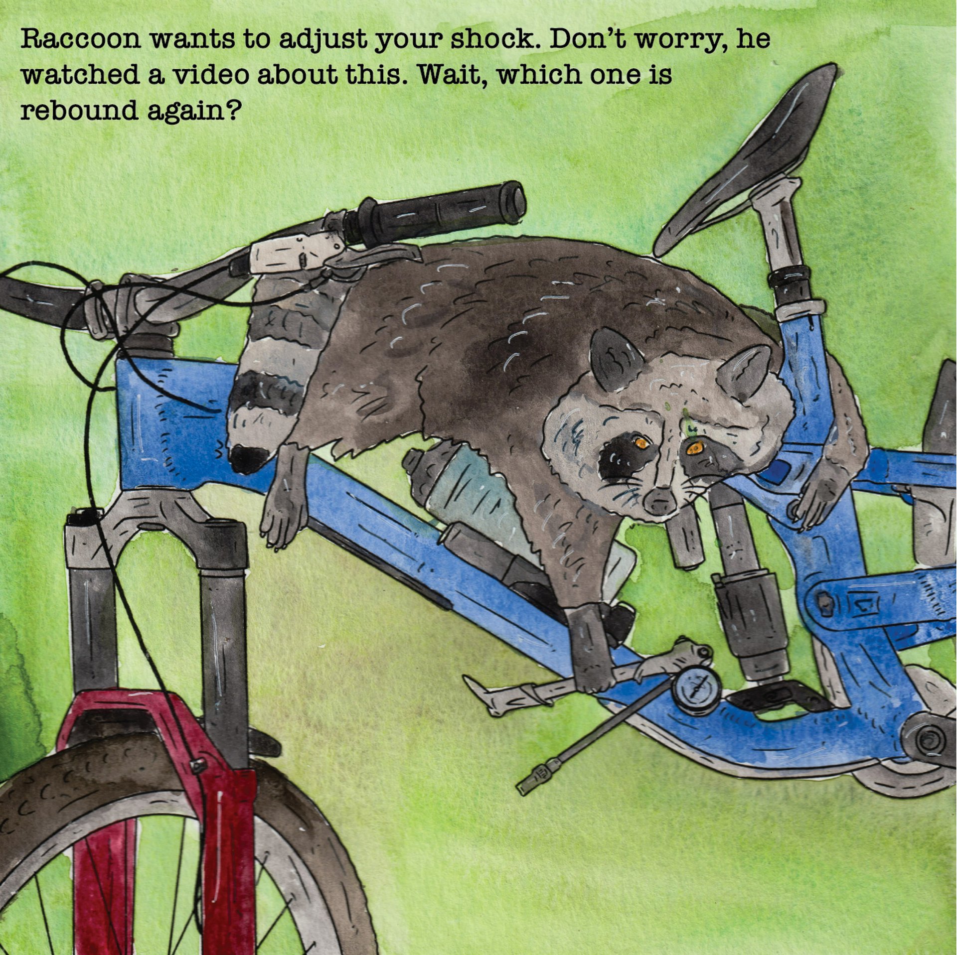 A raccoon coming to ruin your suspension