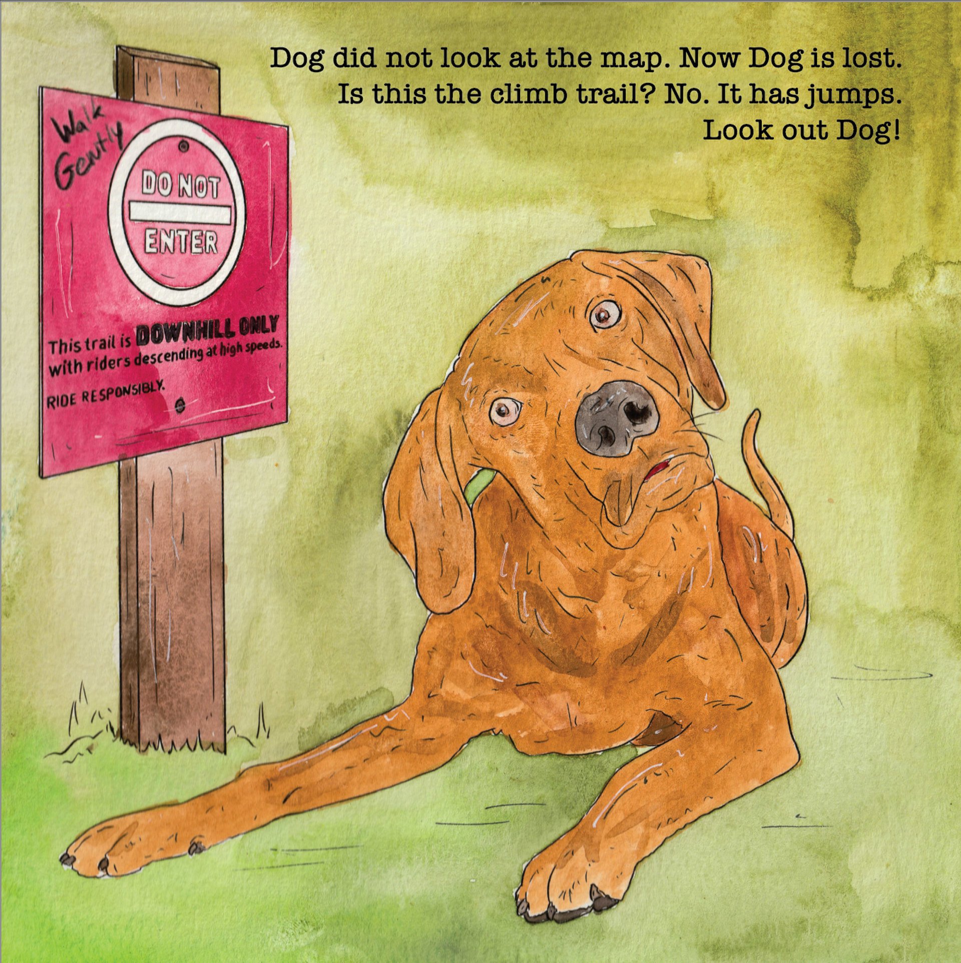 A confused looking dog