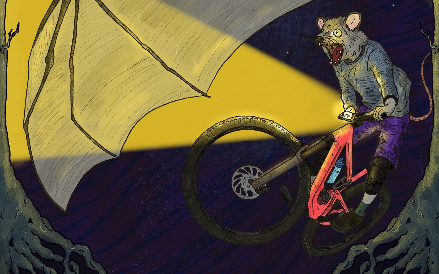A possum night riding