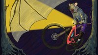 A possum night riding