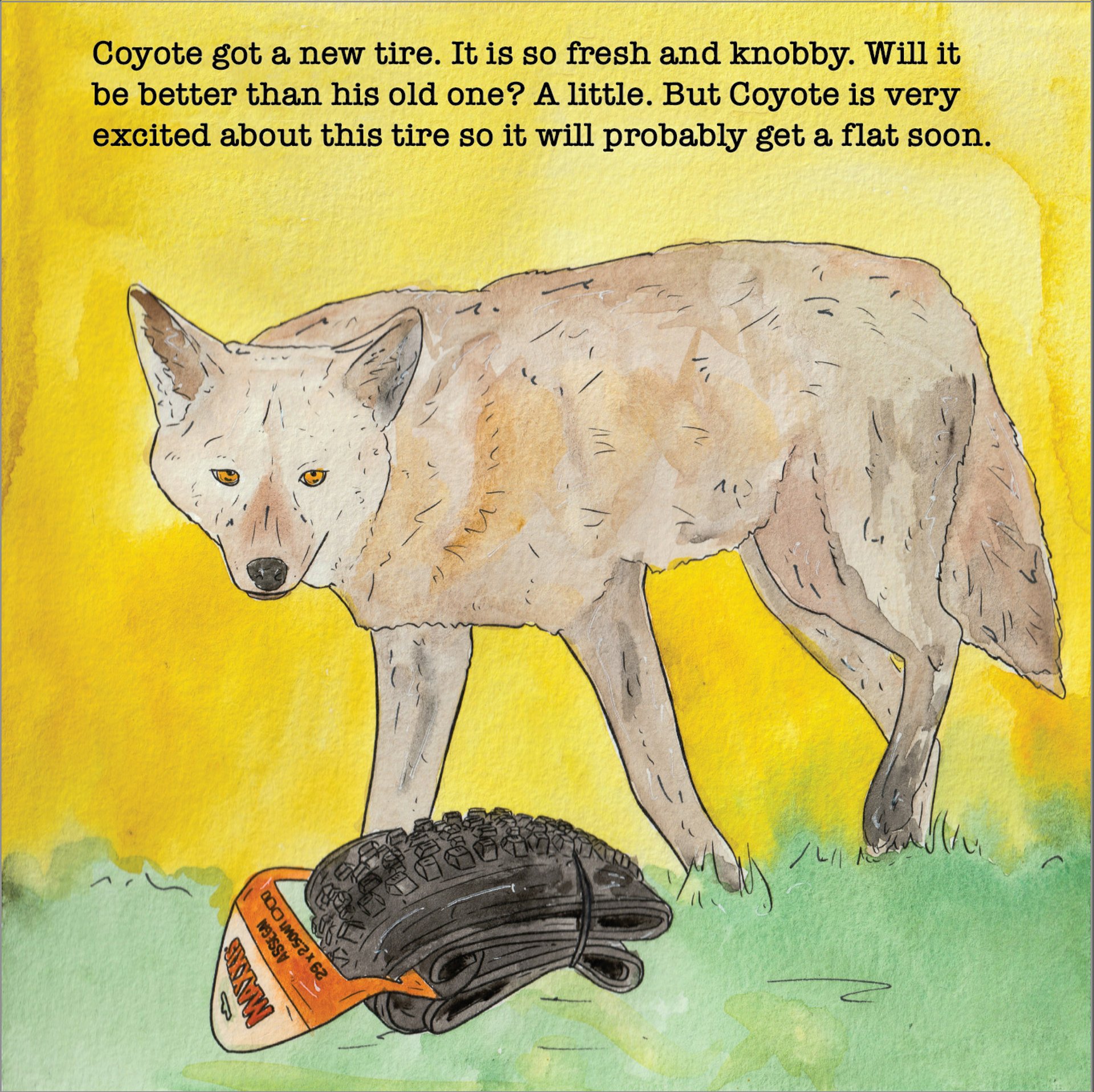 A coyote with a flat tire