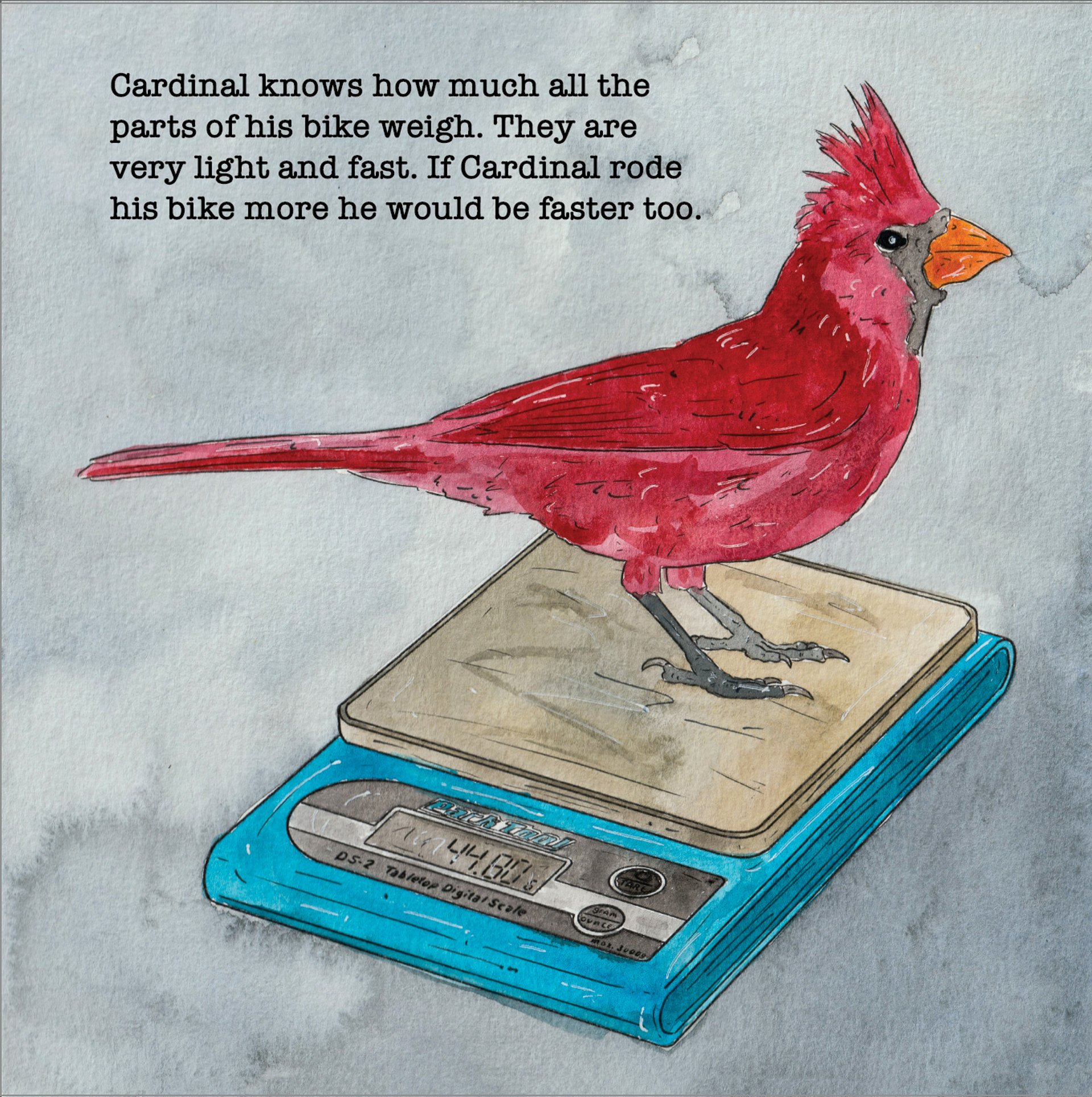 A bird on a scale