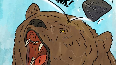 A bear getting clunked with a rock
