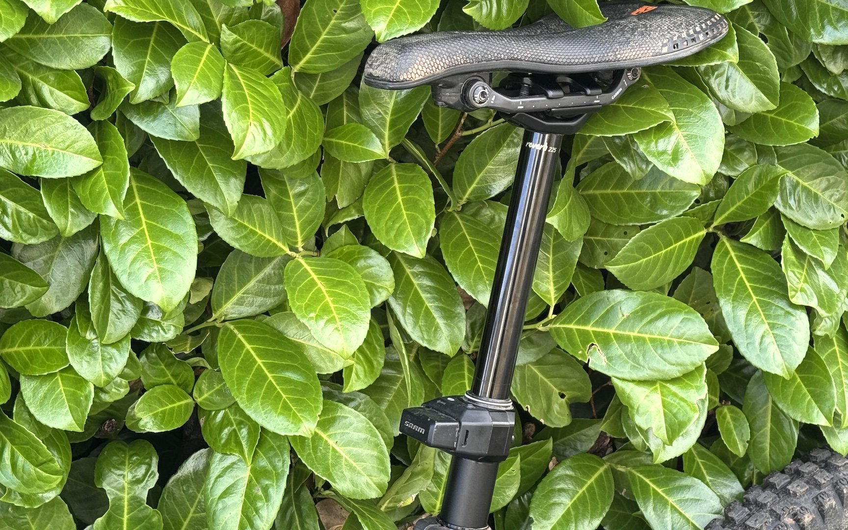 Rockshox Reverb AXS cover