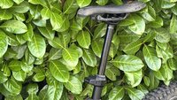 Rockshox Reverb AXS cover