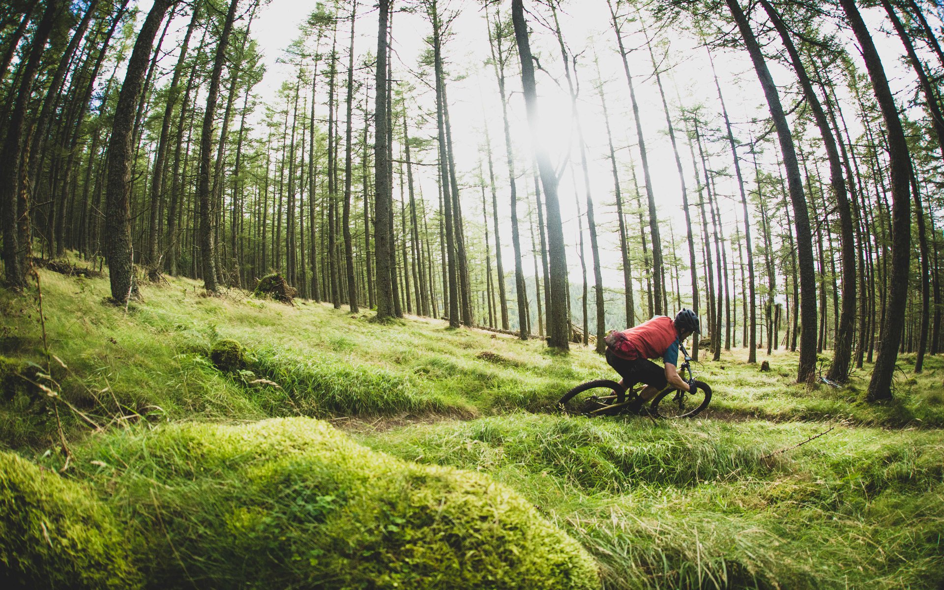 Bike parks scotland online