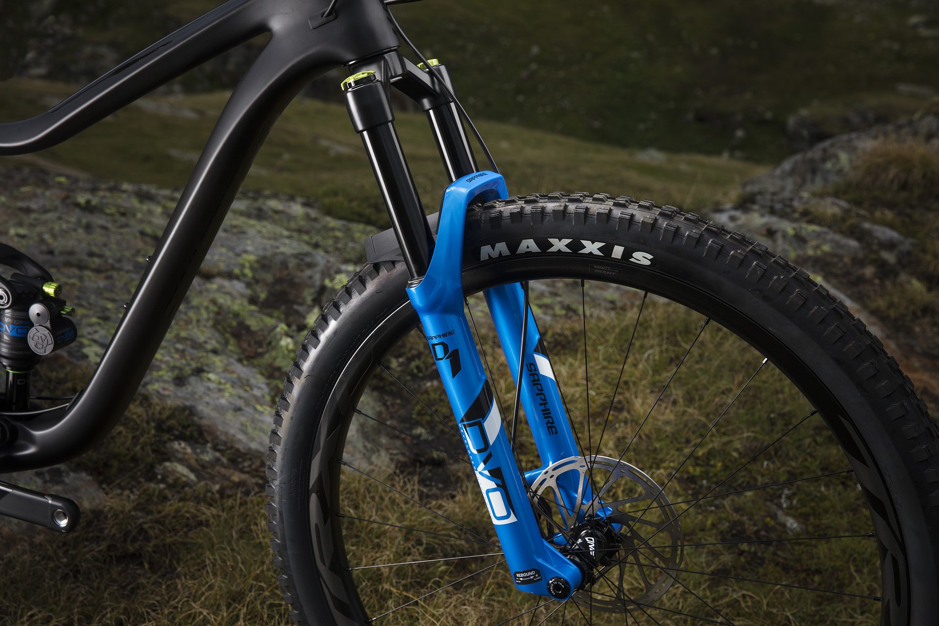 2019 Giant Trance 29 - Ridden in Italy