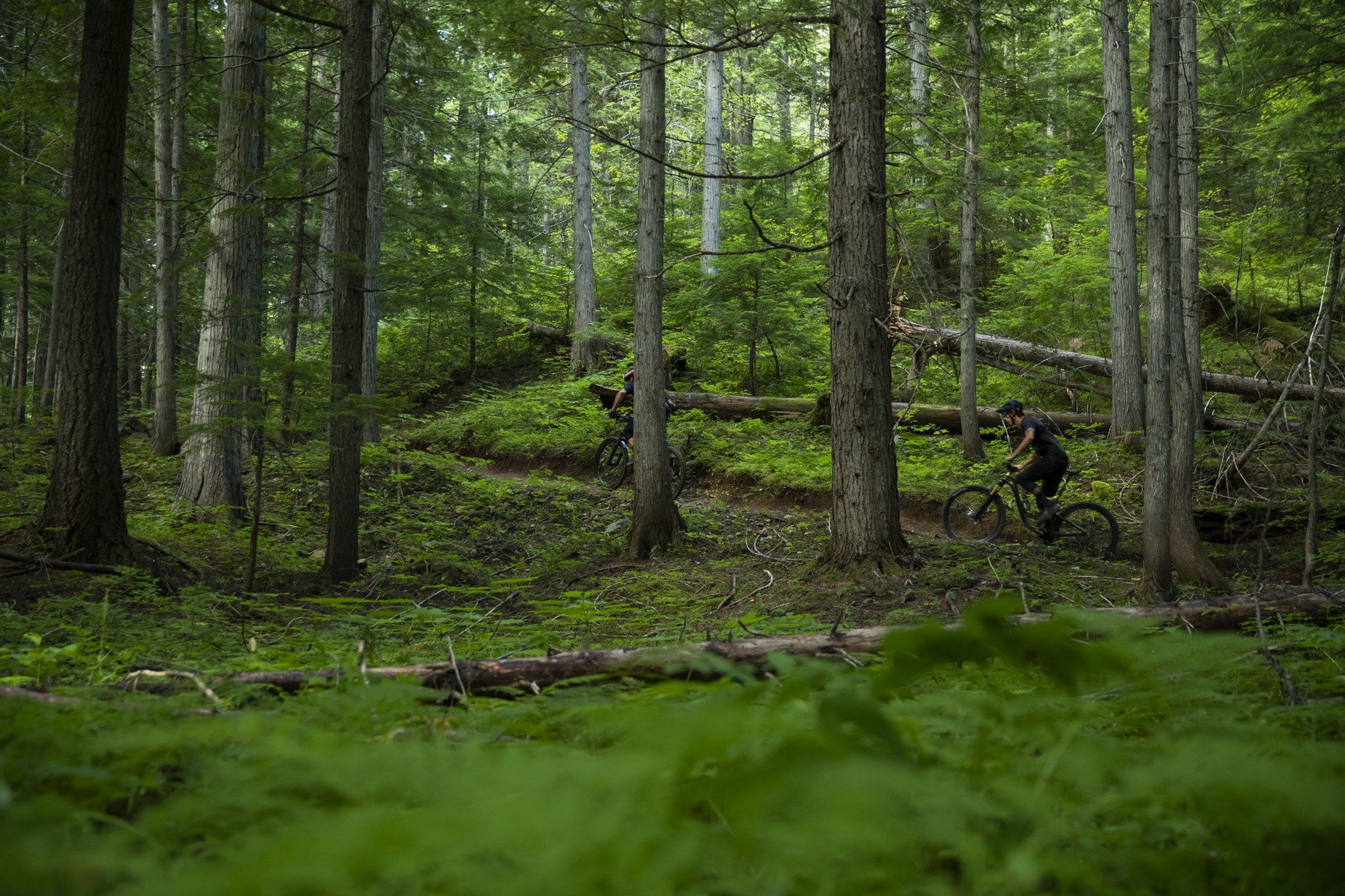 Riding the 2020 Giant Reign 29 in Revelstoke