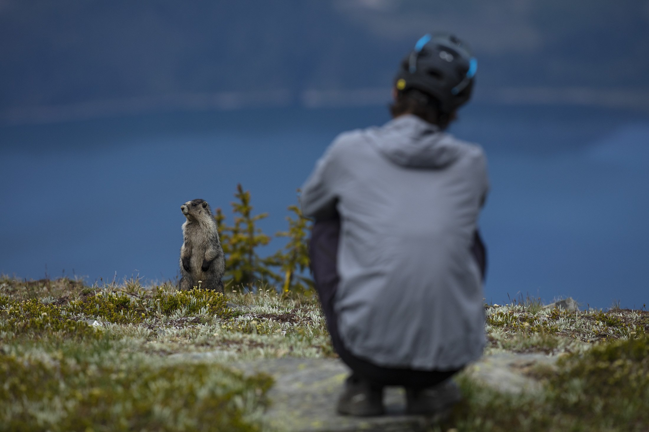 Riding the 2020 Giant Reign 29 in Revelstoke