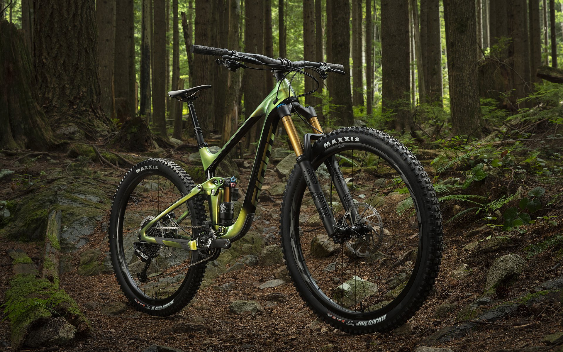 giant reign 2 29er 2020