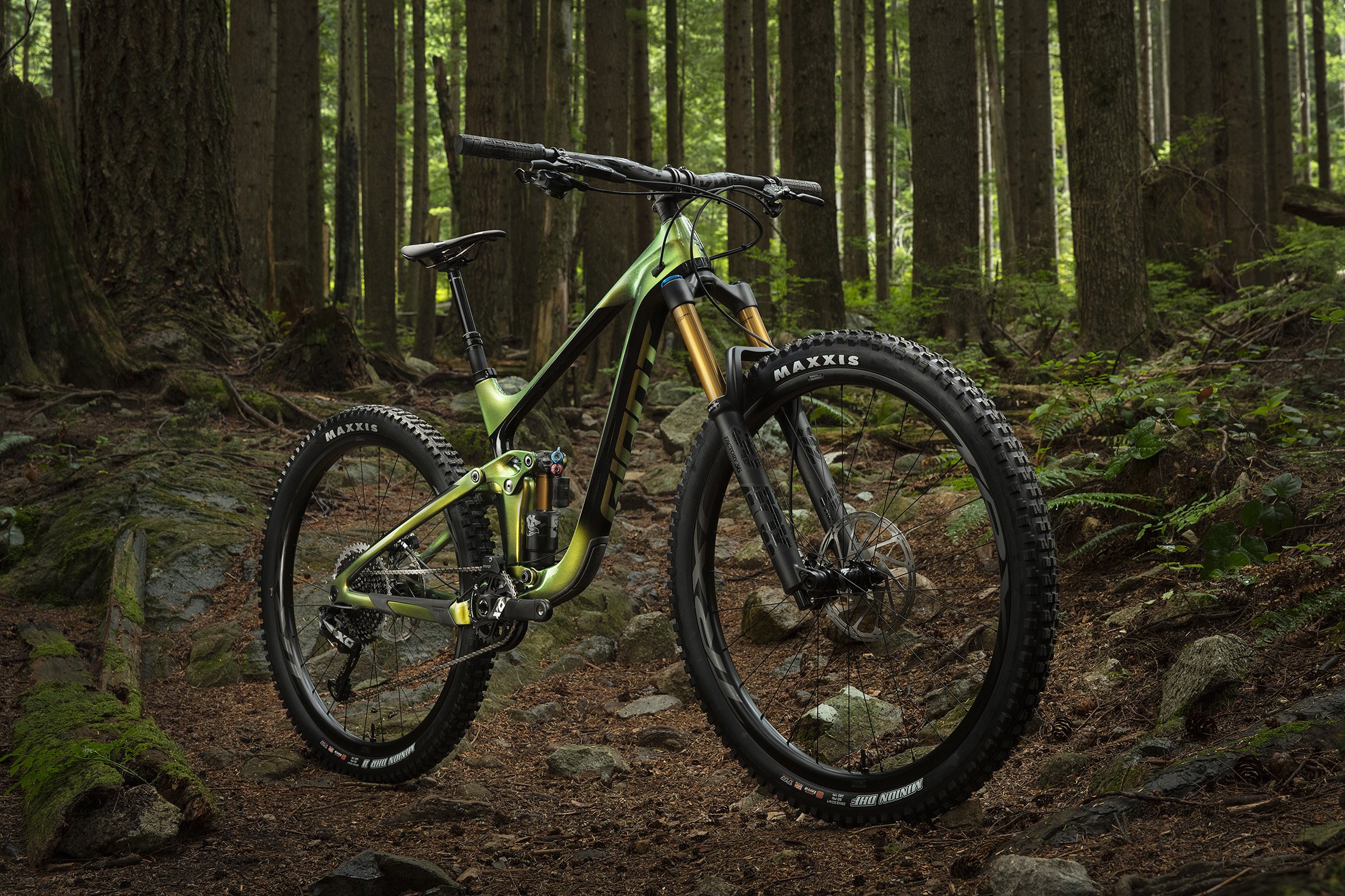 2019 giant reign advanced