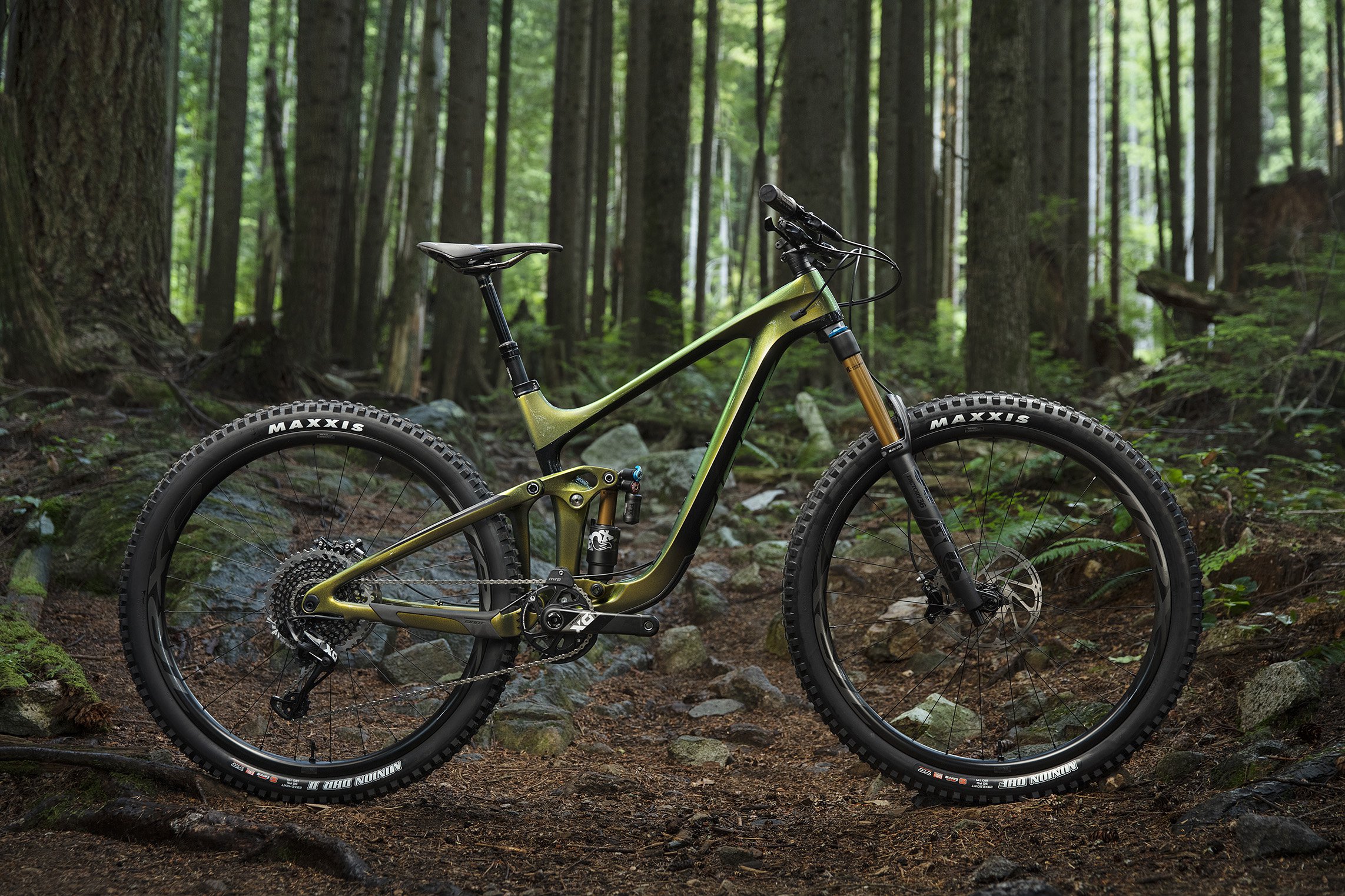 2019 giant reign sx 1