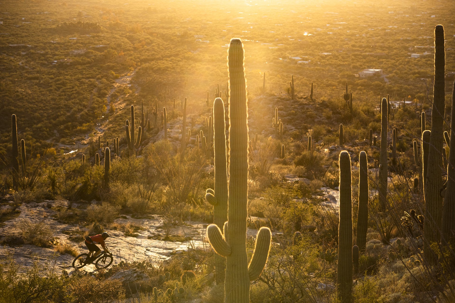 SM2_AXS_Tucson_SM_X01EagleAXS_181202_Harookz_H_2138.jpg