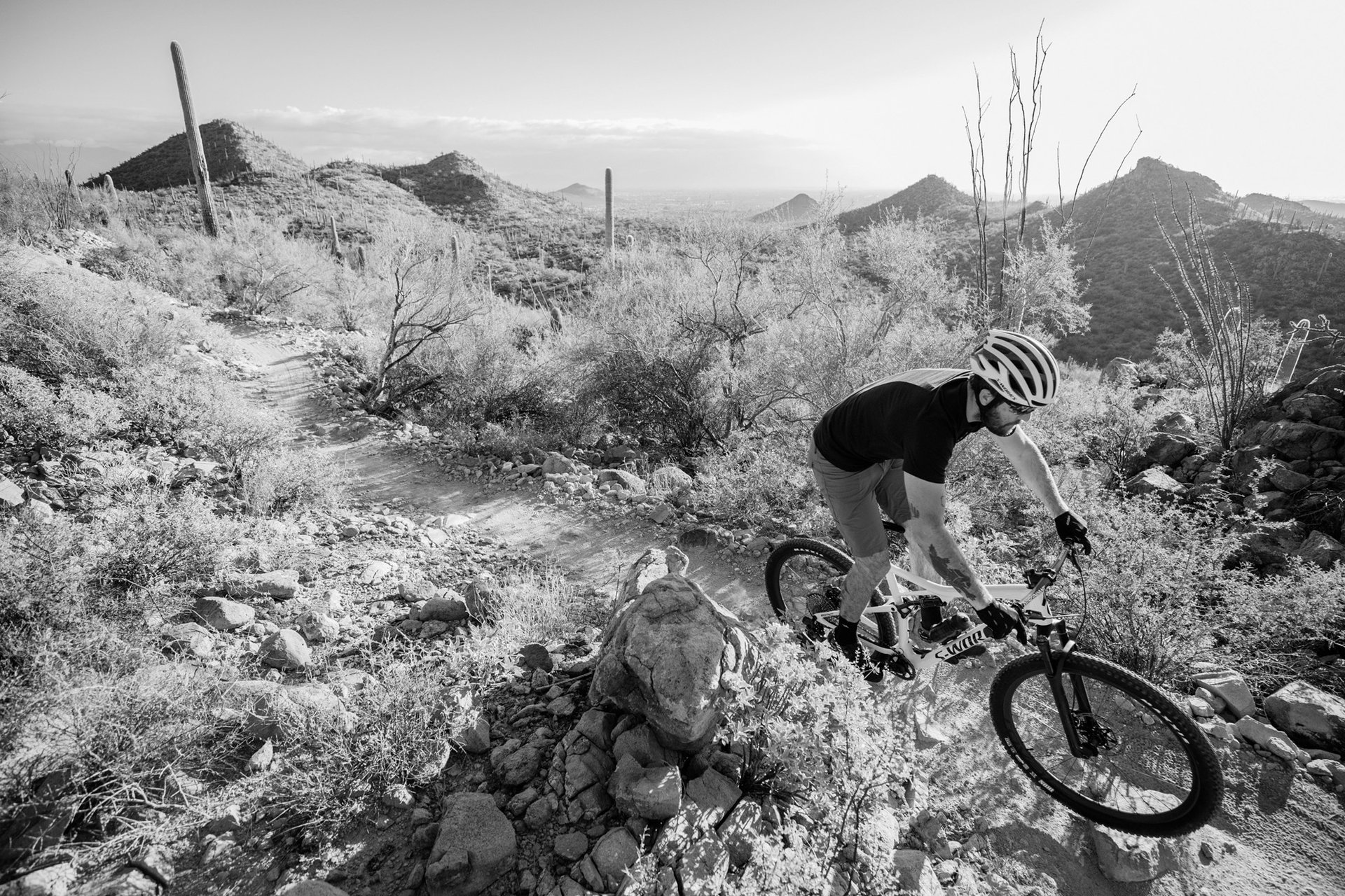 SM2_AXS_Tucson_SM_XX1EagleAXS_181202_Harookz_L_1262_bw.jpg