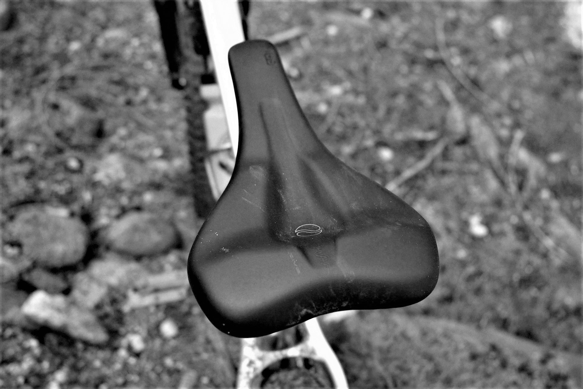 SQLab 610 Ergolux Saddle AndrewM