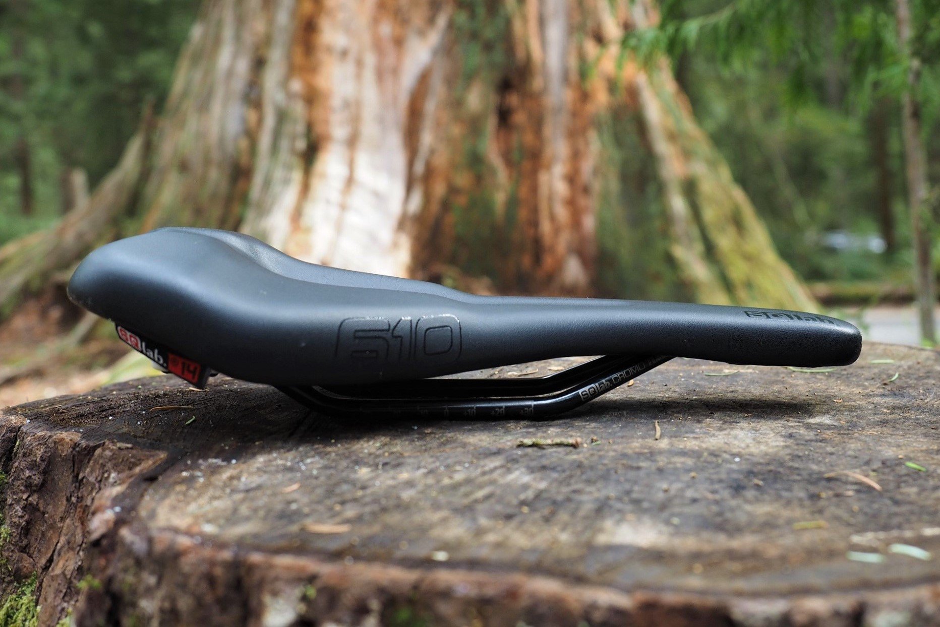 SQLab 610 Ergolux Saddle AndrewM