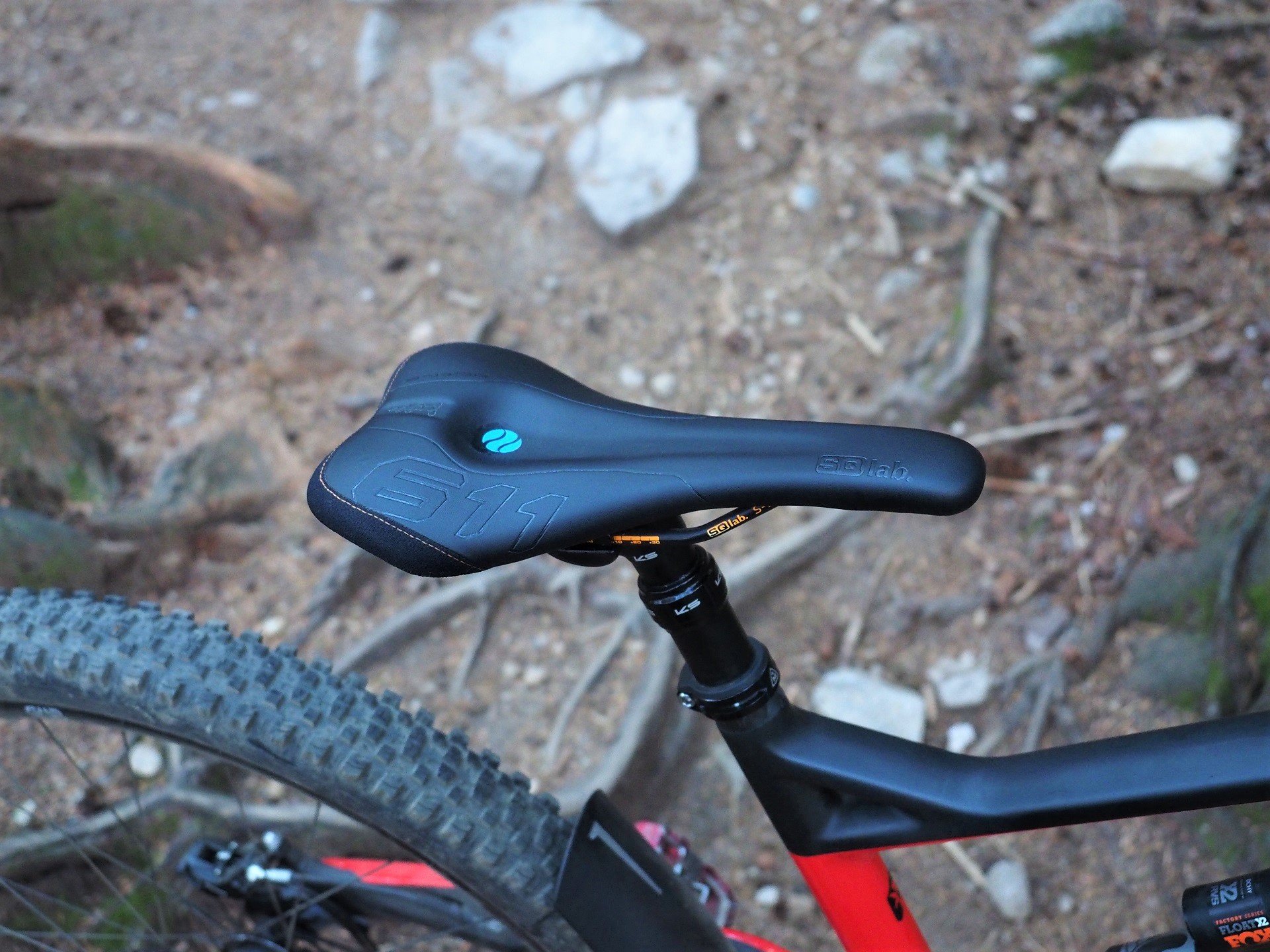 SQLab 611 Saddle AndrewM