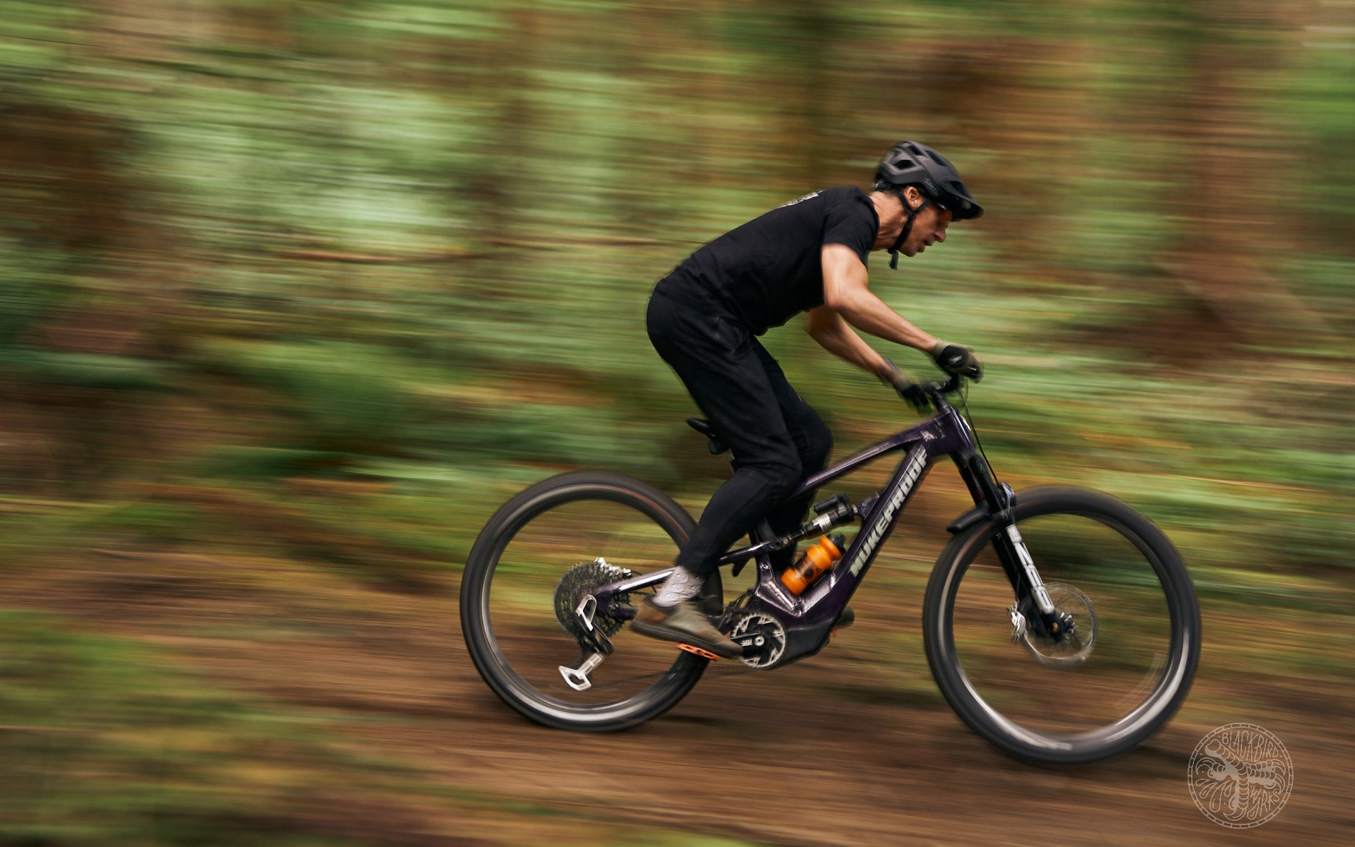 Emtb with brose online motor