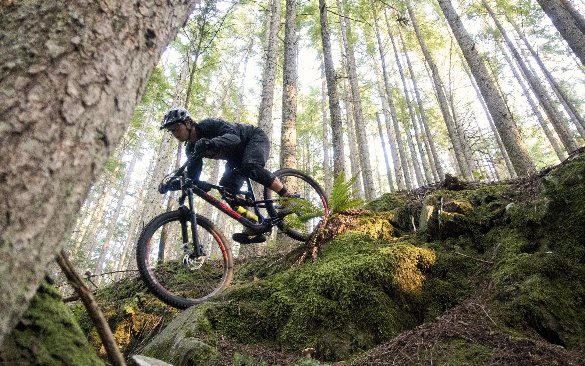 Rocky mountain bike online company