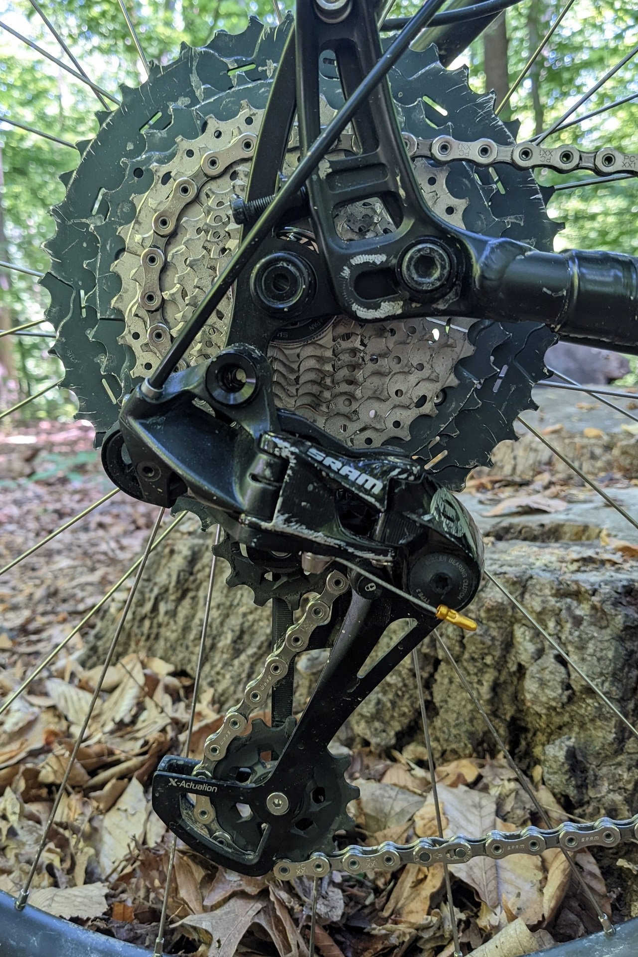 Salsa Timberjack MinMax NSMB Bean  (10)