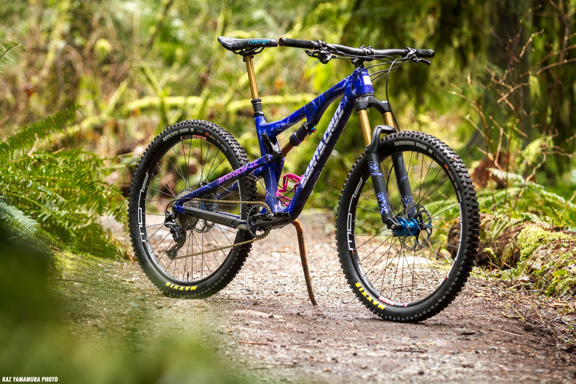 santa cruz bronson custom