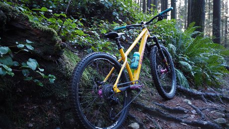 Bikes Hardtails Articles North Shore Mountain Biking