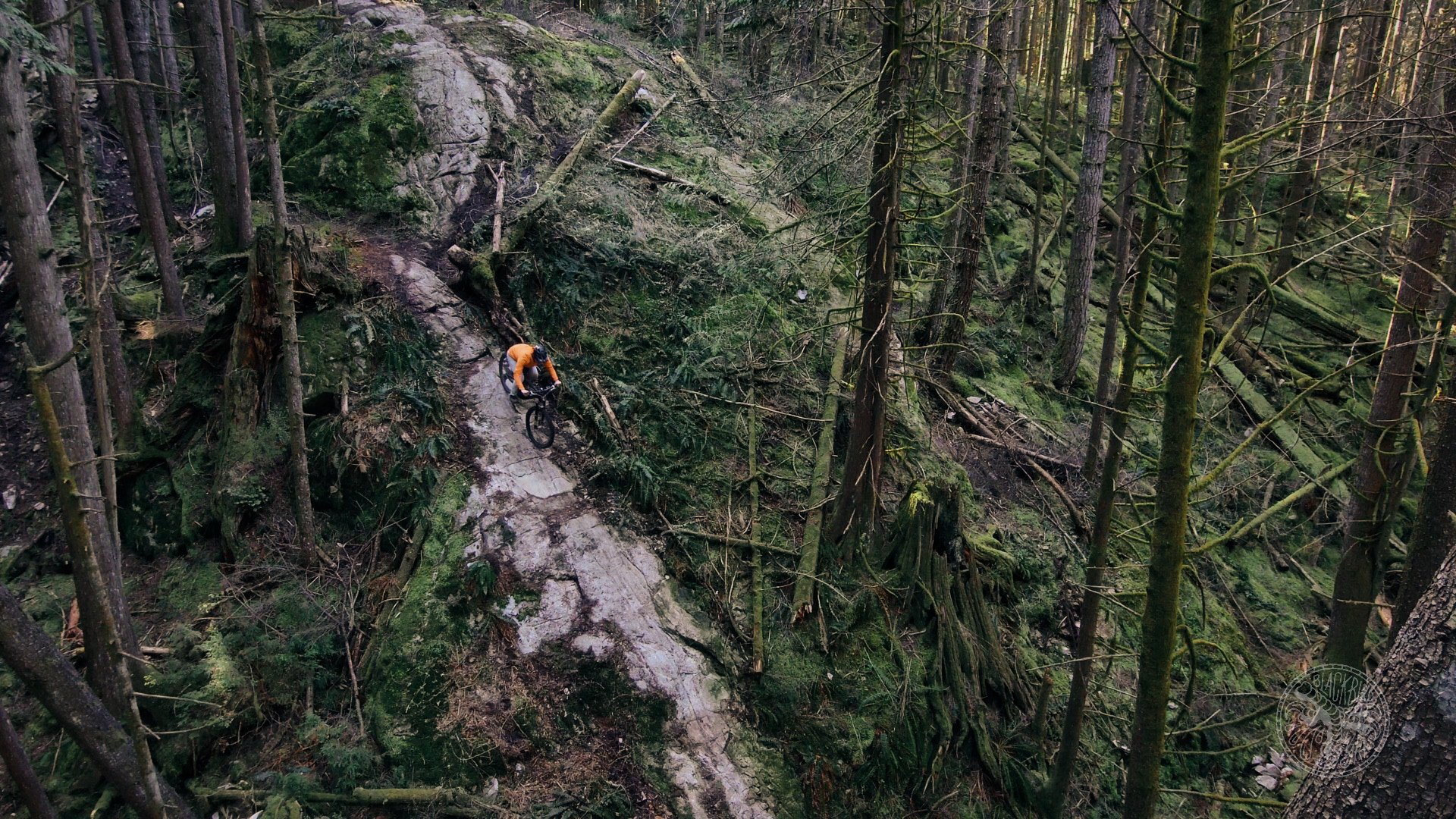 Screen Shot 2023-04-29 at 2.26.10 PM graham hope NF Fox