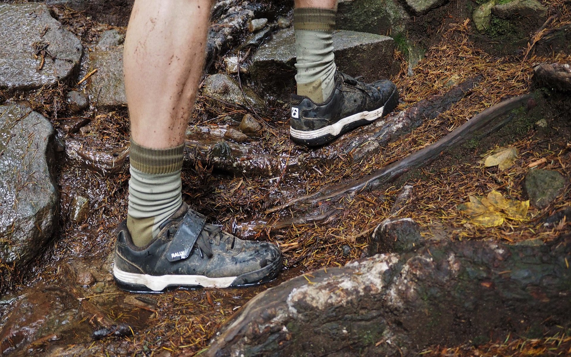 Showers Pass Crosspoint Mountain Weatherproof Socks