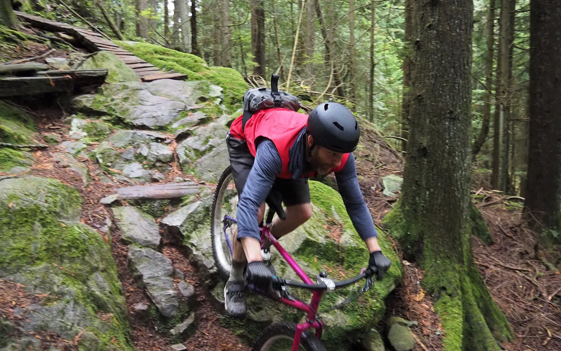 women mountain bikers