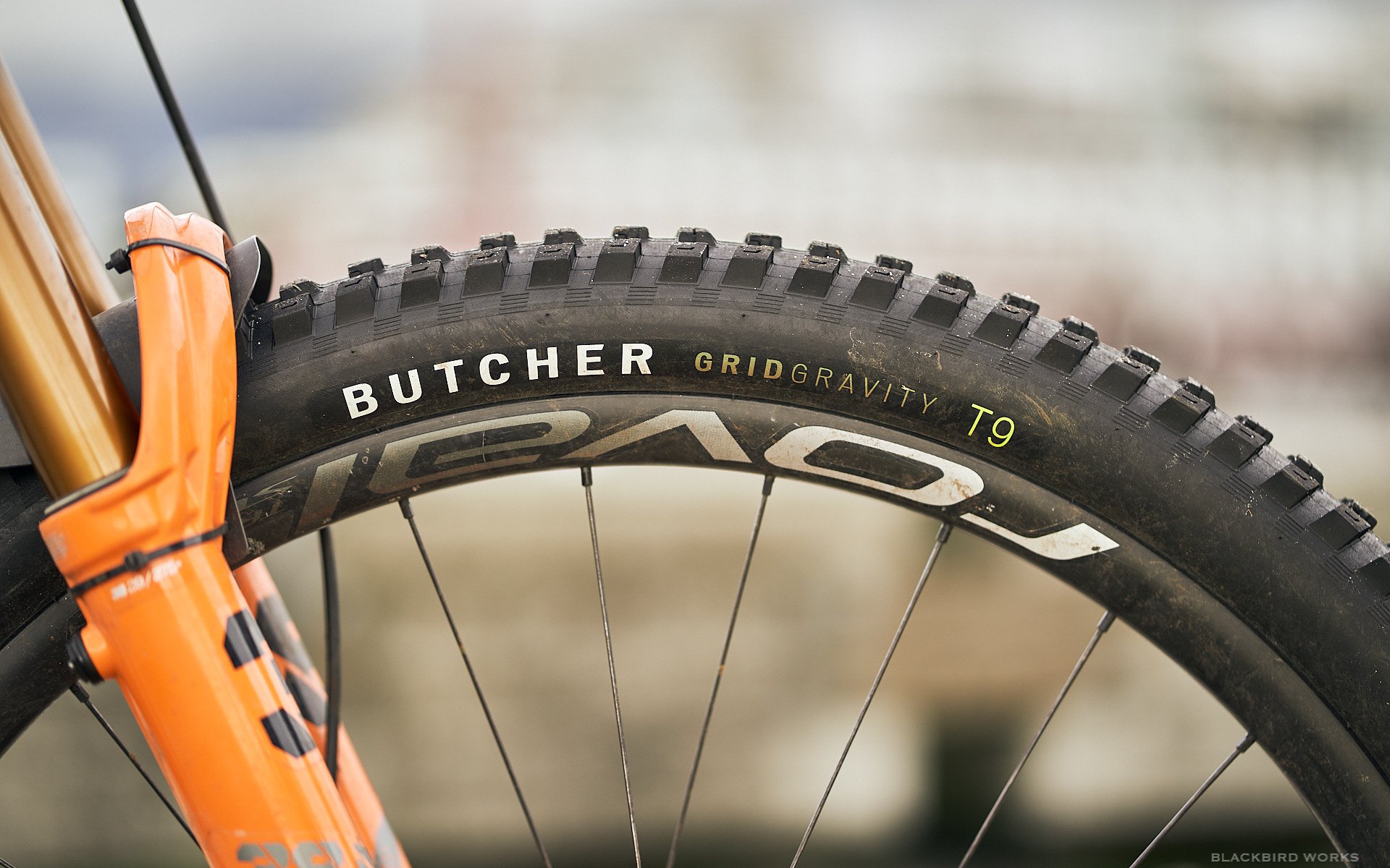 specialized butcher tires 29