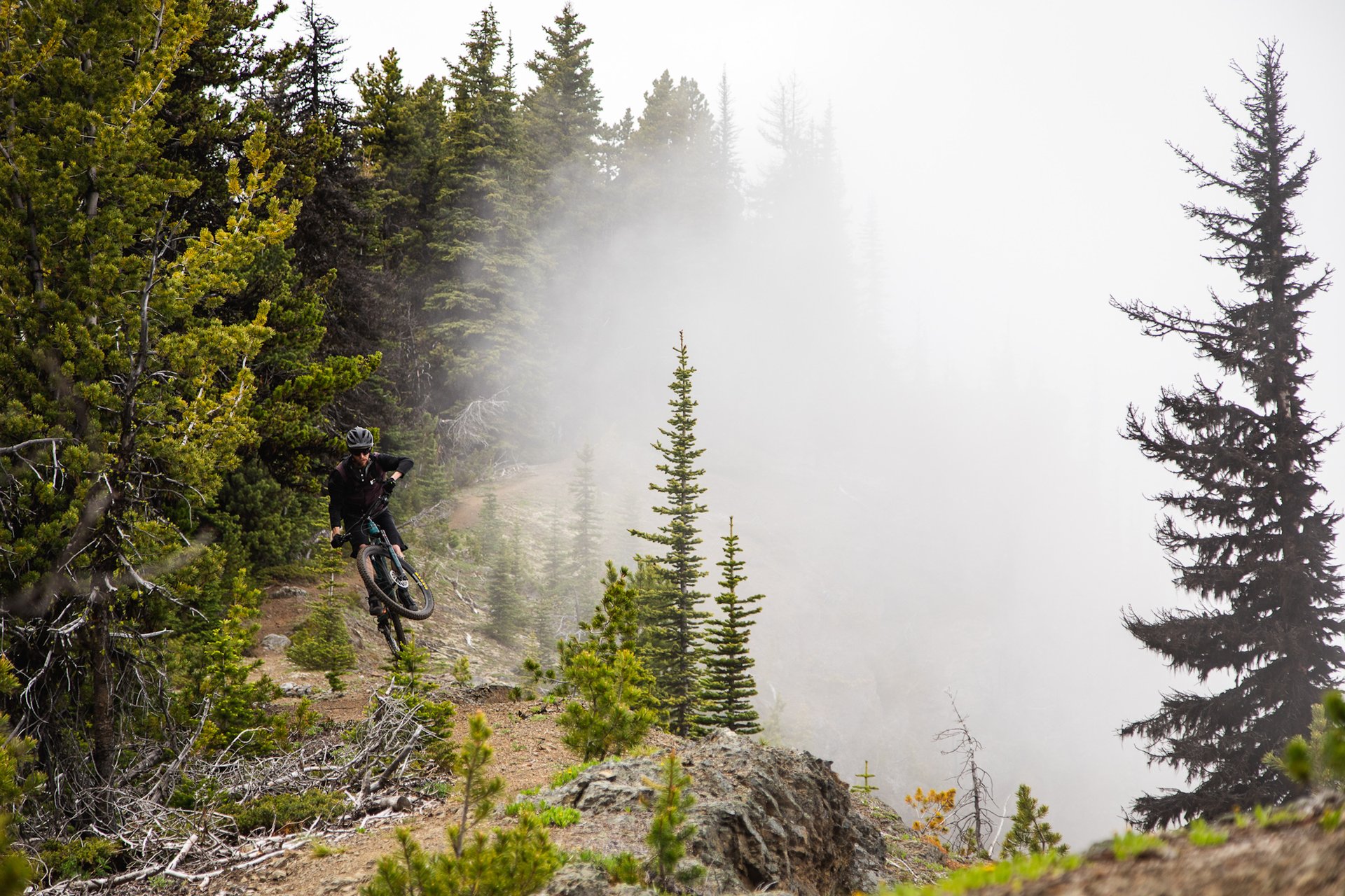 Spur_Tallboy-6.jpg