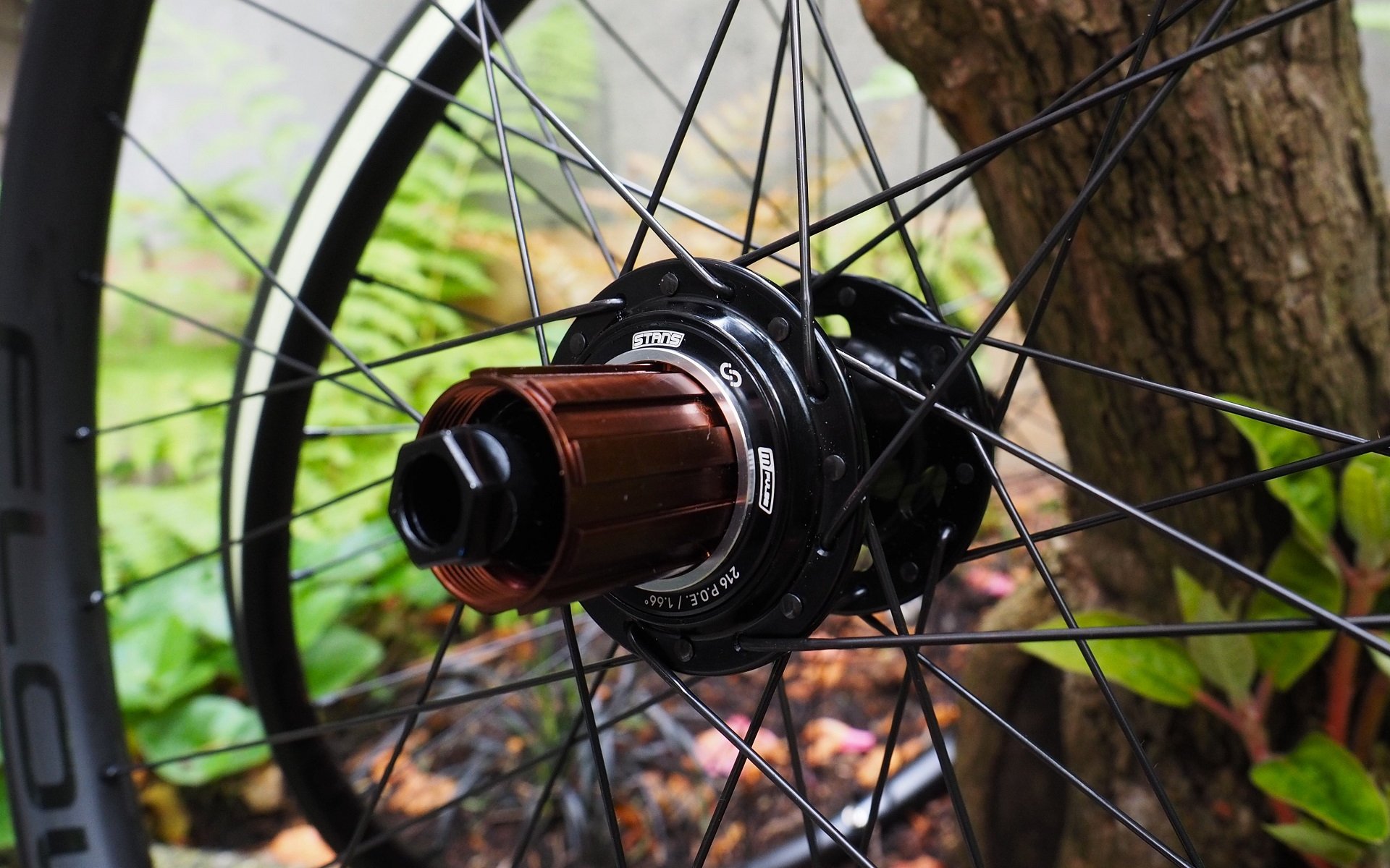 Stan's M-pulse Hubs & Flow CB7 Carbon Rims