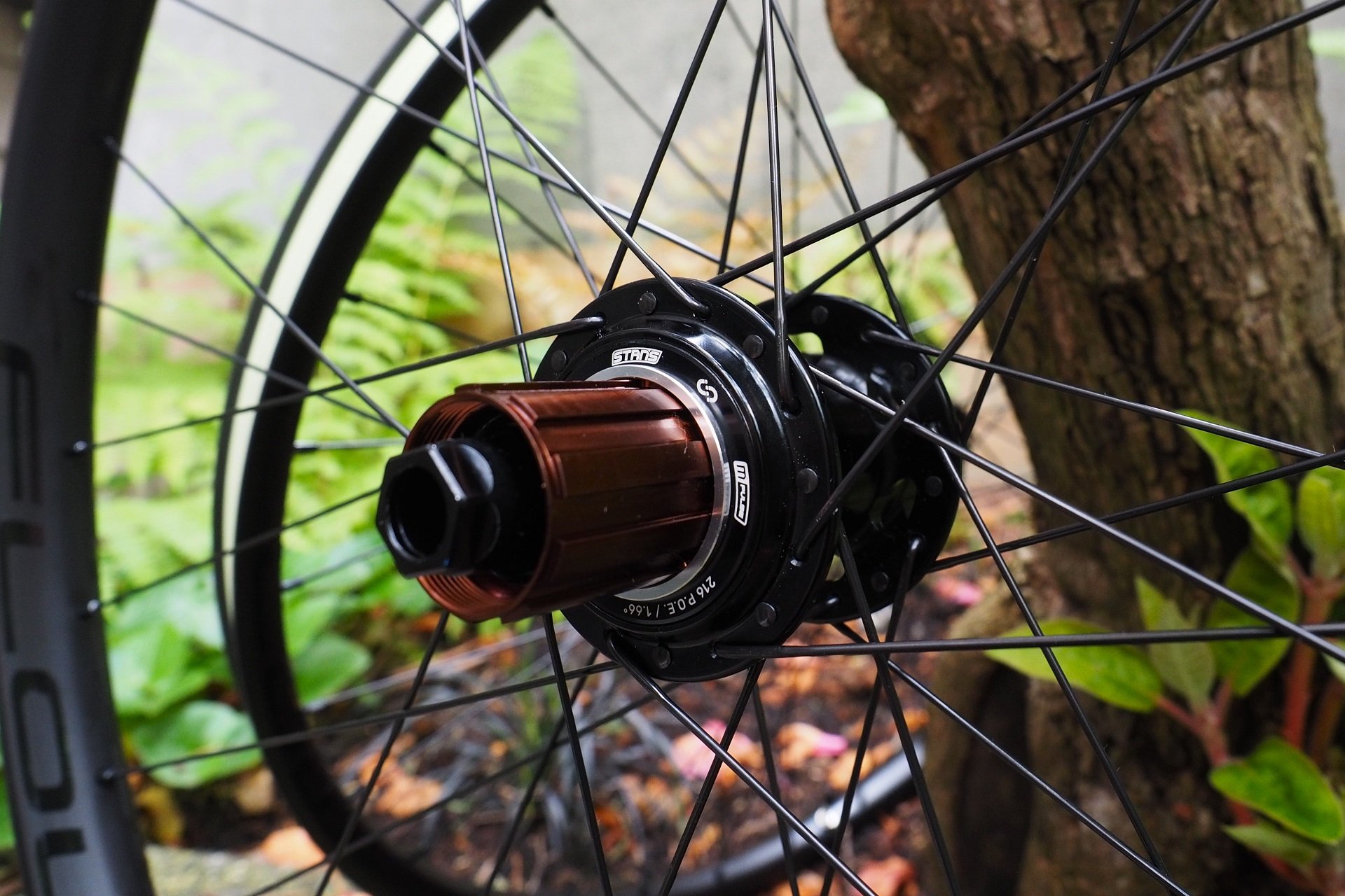 Stan's M-pulse Hubs & Flow CB7 Carbon Rims