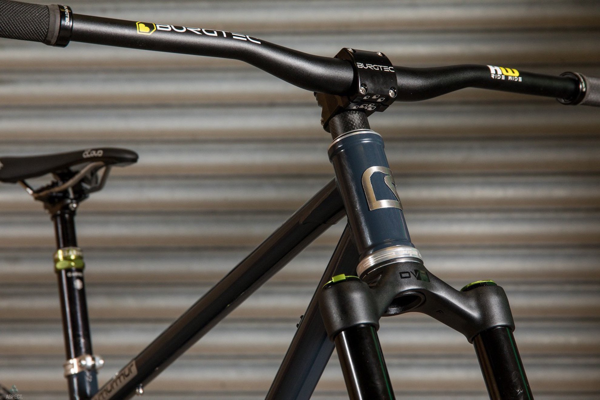 Starling Cycles Murmur Factory rolling chassis 208.jpg
