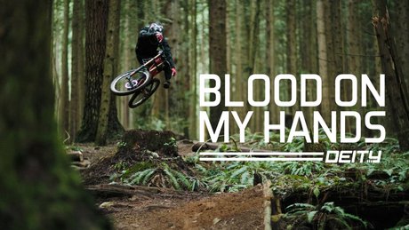 Bas Van Steenbergen Blood Hands