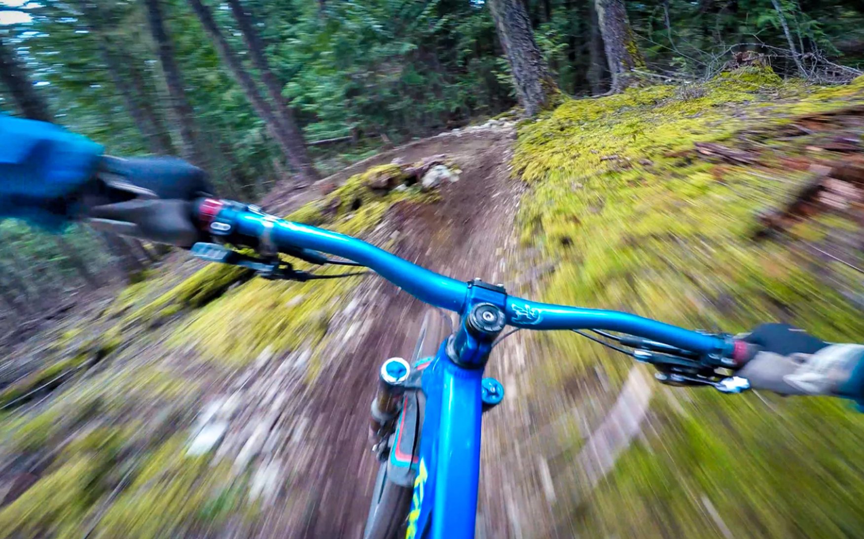 Storey Gnarly Header