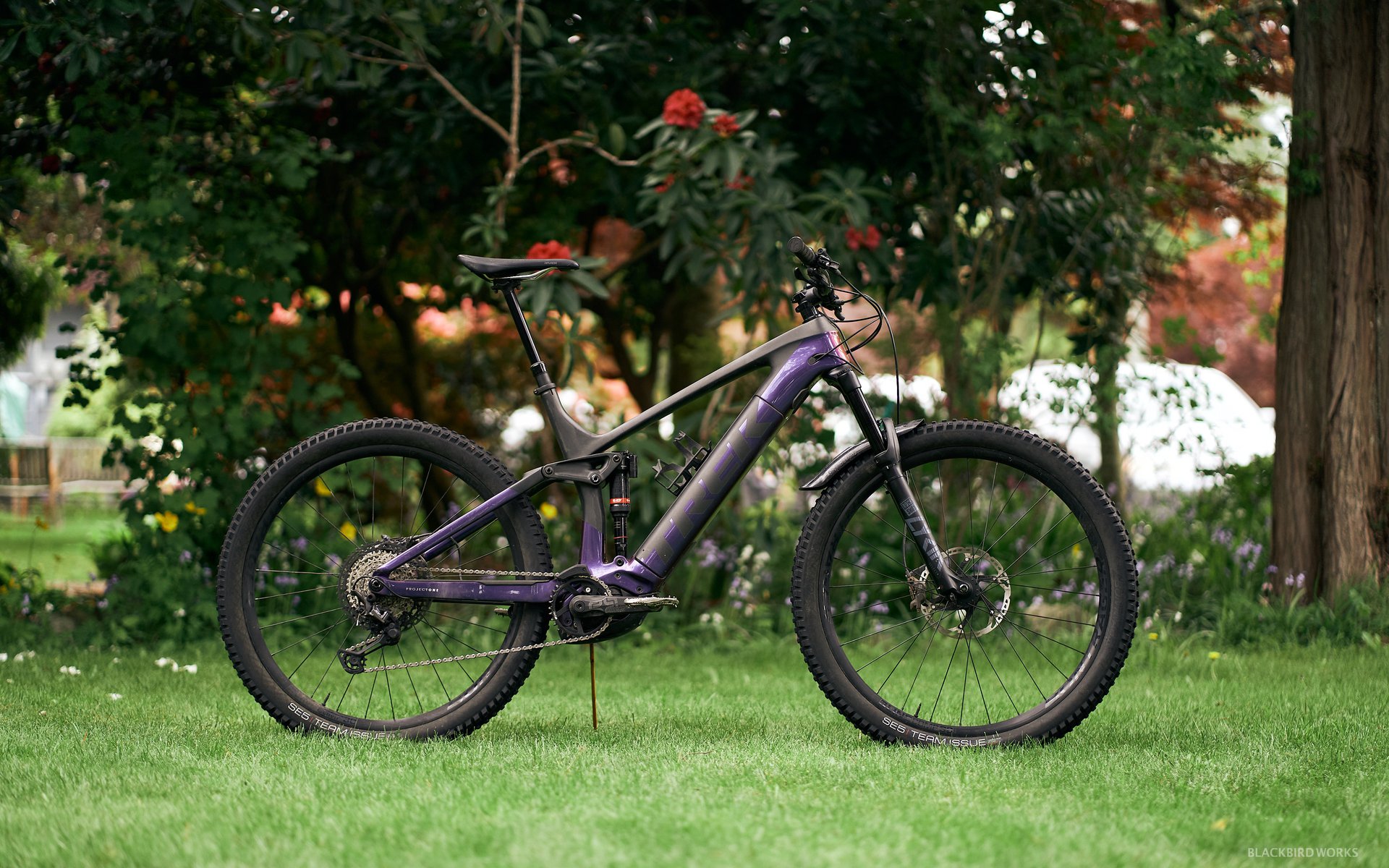 trek rail 9.8 price