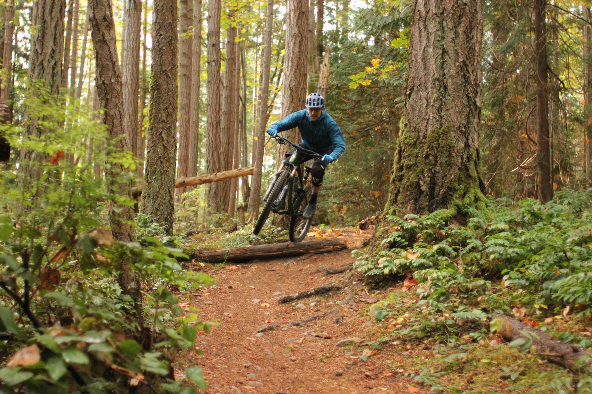 VikB_Norco_Fluid_20221024_1668