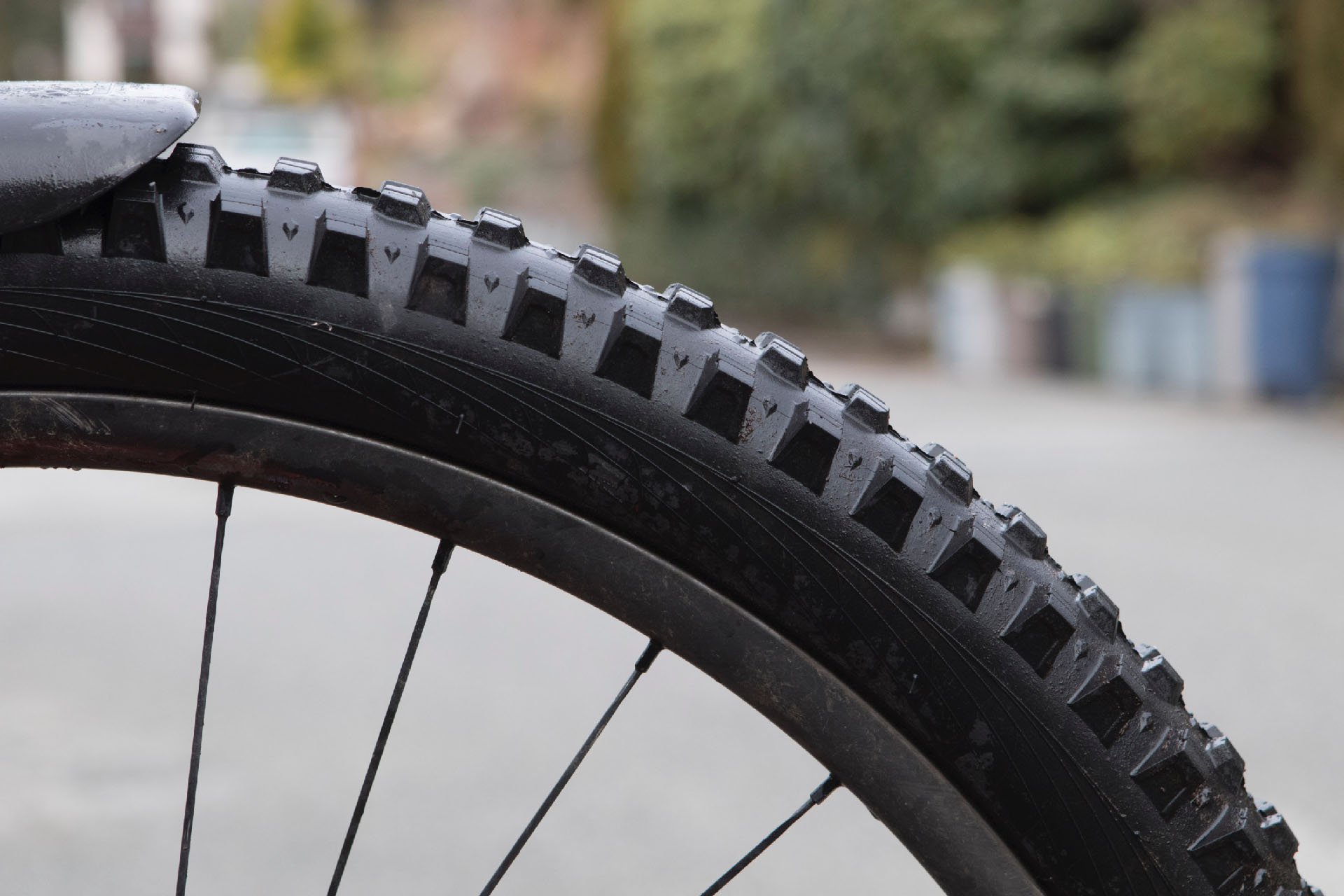 wtb verdict wet 27.5