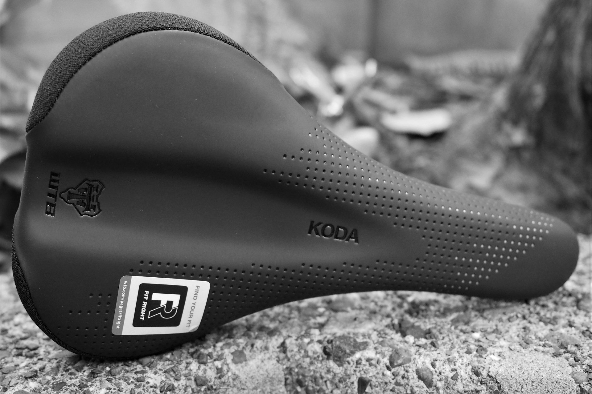 Selle wtb mtb hot sale