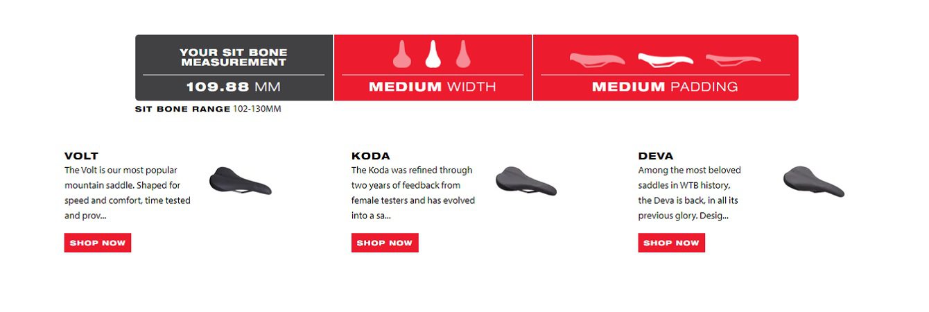 Wtb saddle hot sale sizing