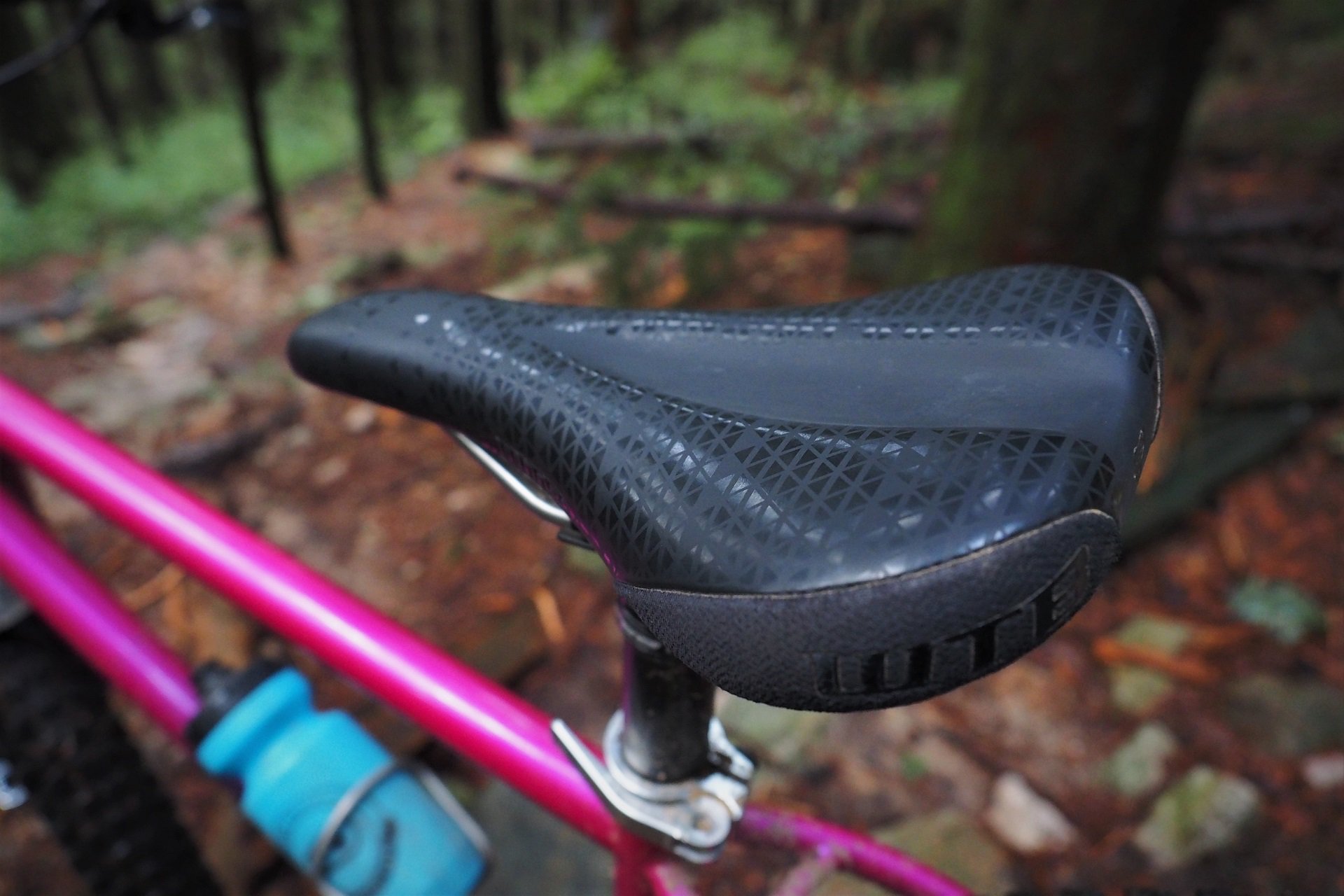 wtb koda titanium saddle