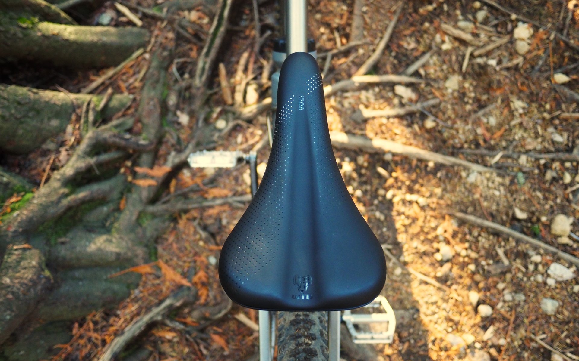 Best wtb best sale saddle for mtb