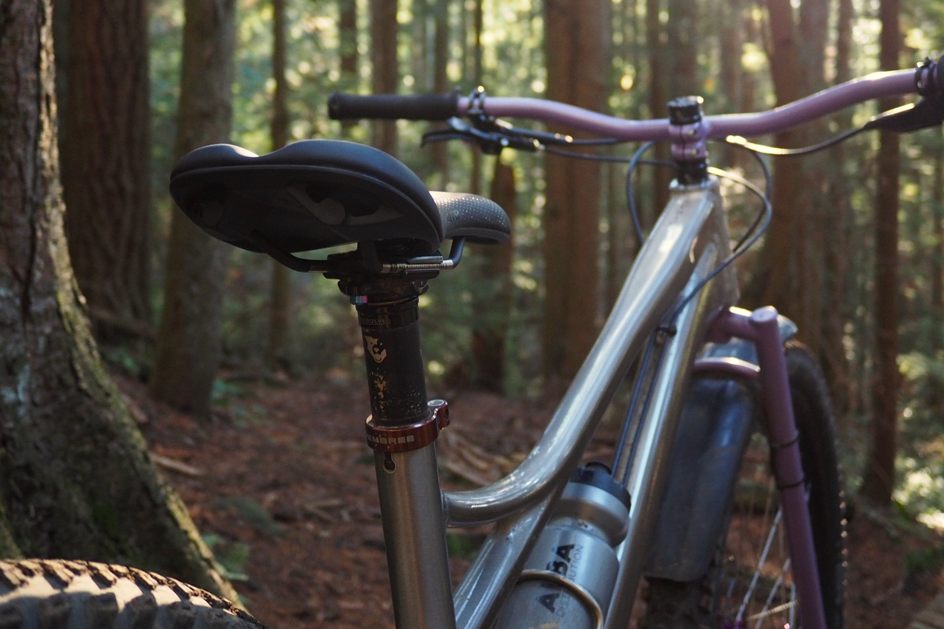 No-Nonsense - EXTREME Torque - Star Ratchet Fatbike Rear Hub